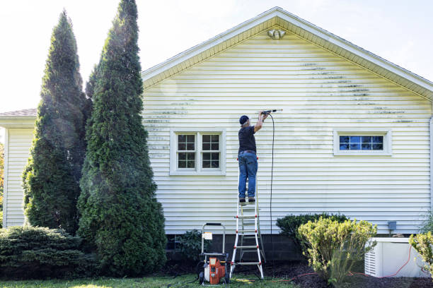 Best Roof Pressure Washing  in Morganfield, KY